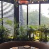 Herschel Hawaii hangt boven restaurant zithoek